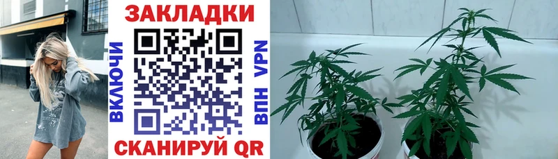 Купить Гашиш  Бошки Шишки  СОЛЬ  Мефедрон  COCAIN  Фокино