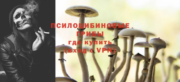 не бодяженный Гусев