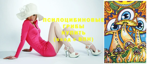 не бодяженный Гусев