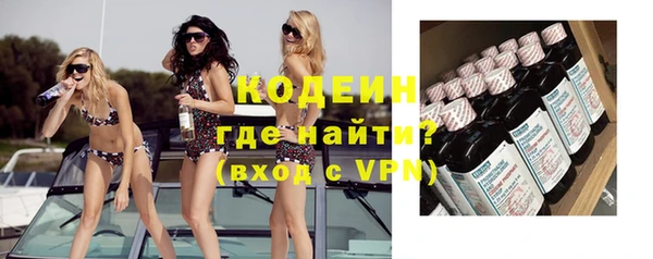 не бодяженный Гусев