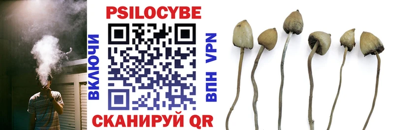Галлюциногенные грибы ЛСД  Купить где  Фокино 